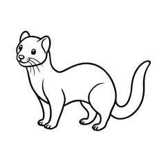 vector illustration of a mink