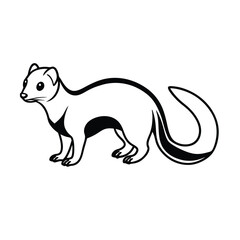 vector illustration of a polecat