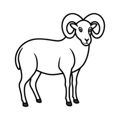 ram animal line vector illustration