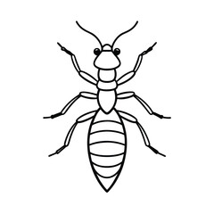 termite insect line vector illustration