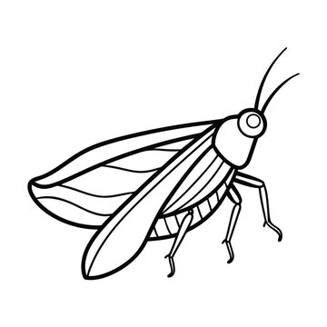 black and white grasshopper insect clip art preview