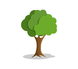 Isolated tree on white background
