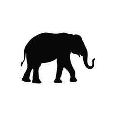 Fototapeta premium Black silhouette elephant walking on white background Vector illustration
