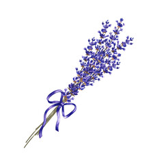 A bouquet of lavender tied with a bow. Watercolor illustration made by hand. Highlight it. An element of the design of packaging, postcards and labels. For banners, flyers and posters.