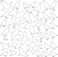 Fototapeta premium Fish outline illustration