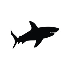 Black silhouette shark swimming on white background Vector illustration