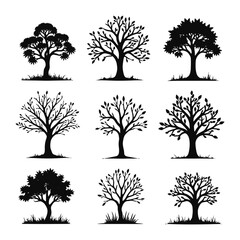 Obraz premium A vector set of diverse tree silhouettes, perfect for nature and forest designs, including oak, pine, and palm branches