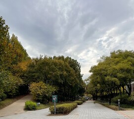 path in the park