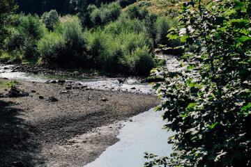 Serenity of a flowing river surrounded by lush green vegetation in a tranquil nature setting