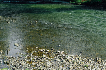 Clear water flows peacefully over stones in a serene riverbank setting during a sunny day