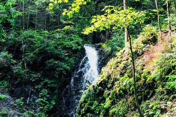 Waterfall flowing down a rocky cliff in a tranquil forest during the day