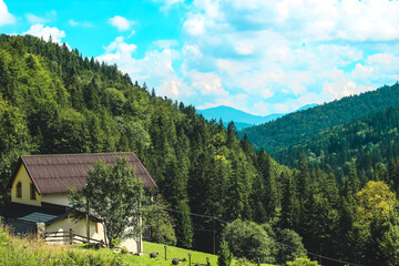 Beautiful Carpathians mountain landscape with a cozy house surrounded by trees during a sunny day