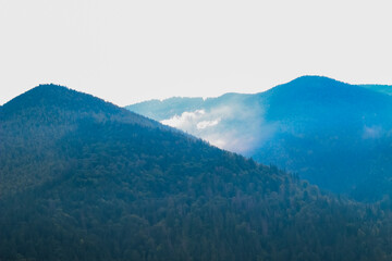 Mountain Carpathians landscape with mist in the early morning light over a dense forest area