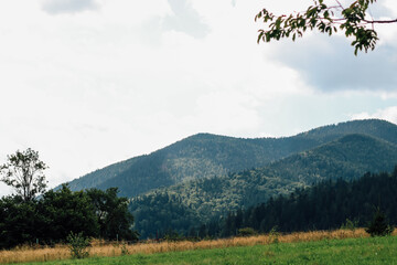Cloudy Carpathians hills and green meadows capture serene landscape in early afternoon sunlight
