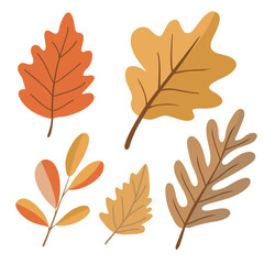 Flat hand drawn illustration of colorful autumn leaves in warm earthy tones. Ideal for seasonal prints, stickers, cards, and fall themed designs.