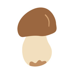 Porcini mushroom with large brown cap and thick pale stem. Hand drawn flat vector illustration