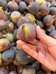 Picking up some figs at market