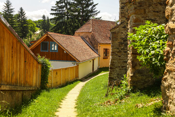 Rural Path in the Saxon Village of Biertan, Romania – Traditional Houses and Countryside Charm