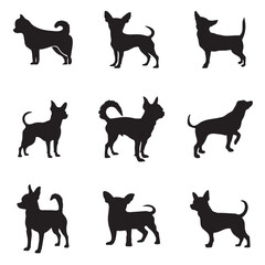 Chihuahua dog silhouette isolated vector