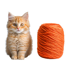 An orange kitten sits beside a ball of orange yarn against a transparent background. The kitten is fluffy and appears curious, with soft, muted lighting.