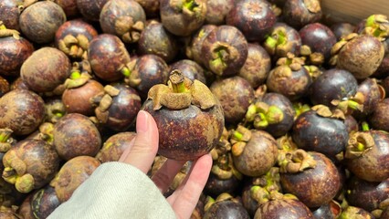 Hand holding mangosteen at supermarket