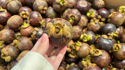 Mangosteen at supermarket holding by hand