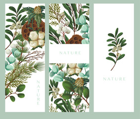 Vector Christmas botanical cards with cotton leaves berries and greenery