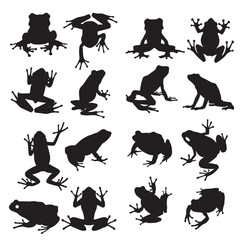 turkey design concept set vector design
