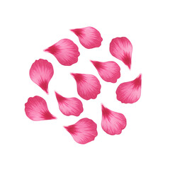 Circular Arrangement of Pink Flower Petals on Transparent Background