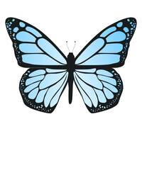 SCHMETTERLING, ISOLIERT, TRANSPARENTER HINTERGRUND