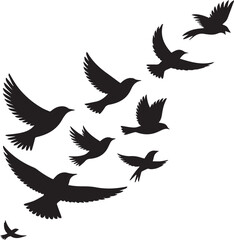 Fototapeta premium Birds silhouette vector illustration