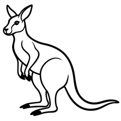 Kangaroo cartoon character isolated	