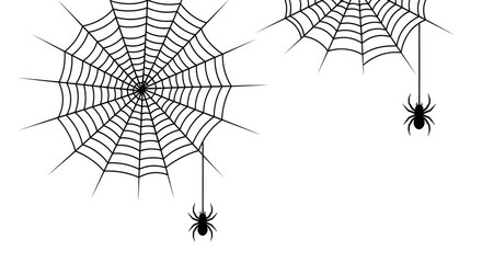 Two spiderwebs with arachnids hanging from them against a plain backdrop