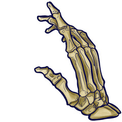 illustration of a hand 