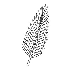 Obraz premium Simple black line drawing of a palm frond on a transparent background isolated on transparent background