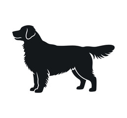 Silhouette of a Golden Retriever Dog