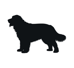 Newfoundland Dog Silhouette Profile View