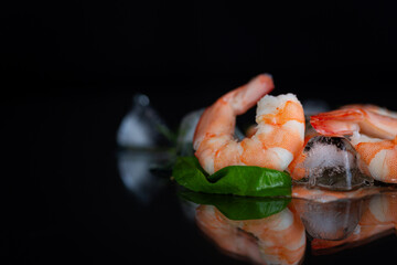 Still life with chilled shrimp, spices and ice cubes