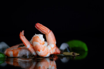 Still life with chilled shrimp, spices and ice cubes