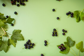 Blackcurrant berries close-up on a green background