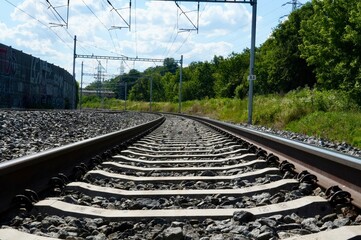 Countryside railway. Trees around the track
