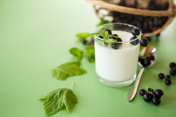 Aesthetic serving of yogurt with blackcurrant berries