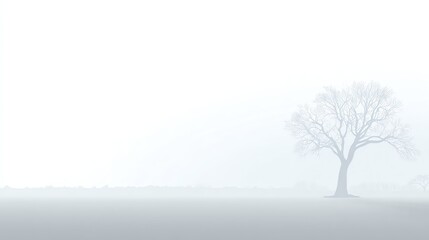 A solitary, leafless tree stands on a misty, fog-covered landscape with faint outlines of distant trees.