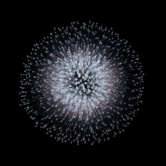 A symmetrical, spherical digital art piece resembling a glowing dandelion or a microscopic structure against a black background.