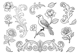 Vintage Botanical and Bird Ornament Set Hand Drawn Engraving Style. Elegant vector set.