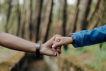 Holding Hands in Nature: A moment of connection and unity between two individuals against a...