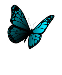 bunter Schmetterling, transparenter Hintergrund, Vector