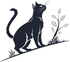 black cat on transparent background