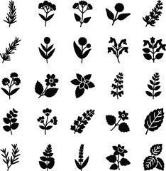 Collection of black silhouette botanical herb and flower icons on white background