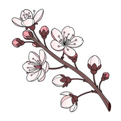 Pink cherry blossom branch with floral design illustration